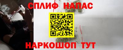 молекула духа Пугачёв