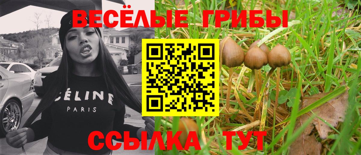 Псилоцибиновые грибы мухоморы  Вход с VPN  Советский 