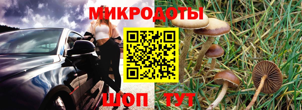 Псилоцибиновые грибы ЛСД Советский
